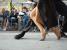 Danseurs de tango, quartier de San Telmo, Buenos Aires, Argentine