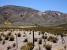 Quebrada de Humahuaca, nord ouest argentin, noa